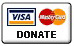 visa button